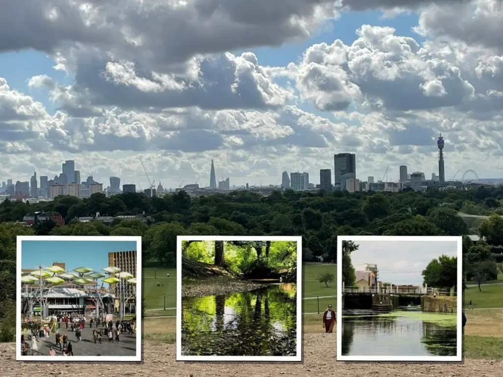 Field Studies Council London Sites 7 the London skyline from a park