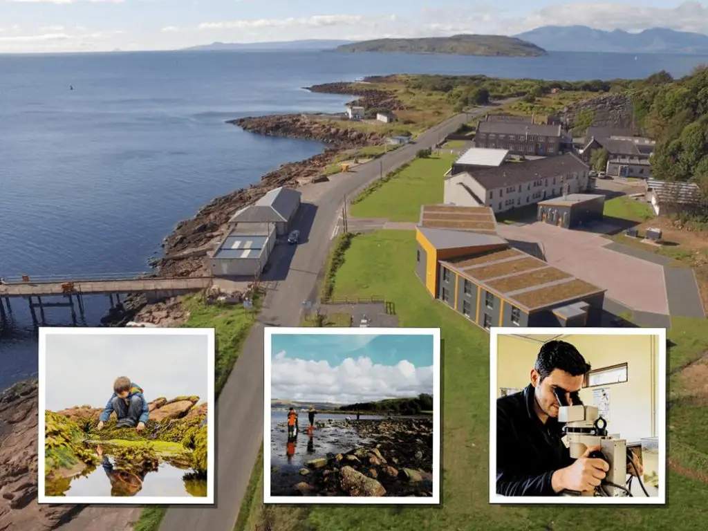 Millport Outdoor Residential Centre North Ayrshire Scotland Field Studies Council 1 coastal view of Millport buildings next to the sea