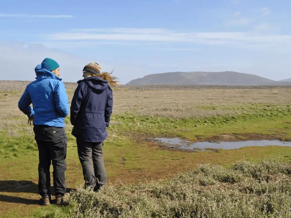 teachers looking out onto the Somerset Moors