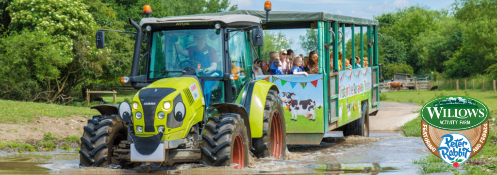 Willows Activity Farm St Albans Hertfordshire 2 Willows Activity Farm St Albans Hertfordshire