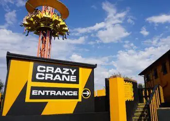 pupils on a crazy crane ride