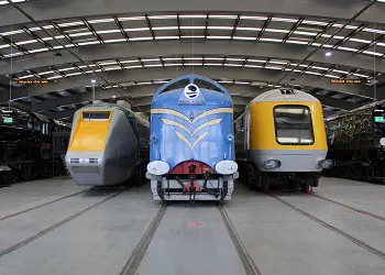 locomotion-education-options-5