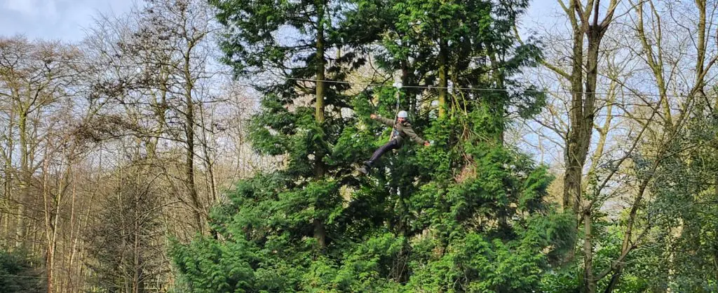 woodlands adventure image 4