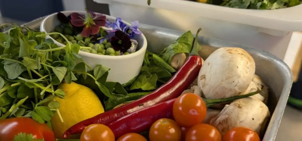 image of fresh picked vegetables at the Anderton activity centre