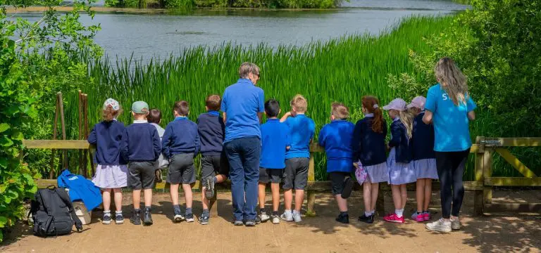 primary school trip group at nature centre looking at wildlife