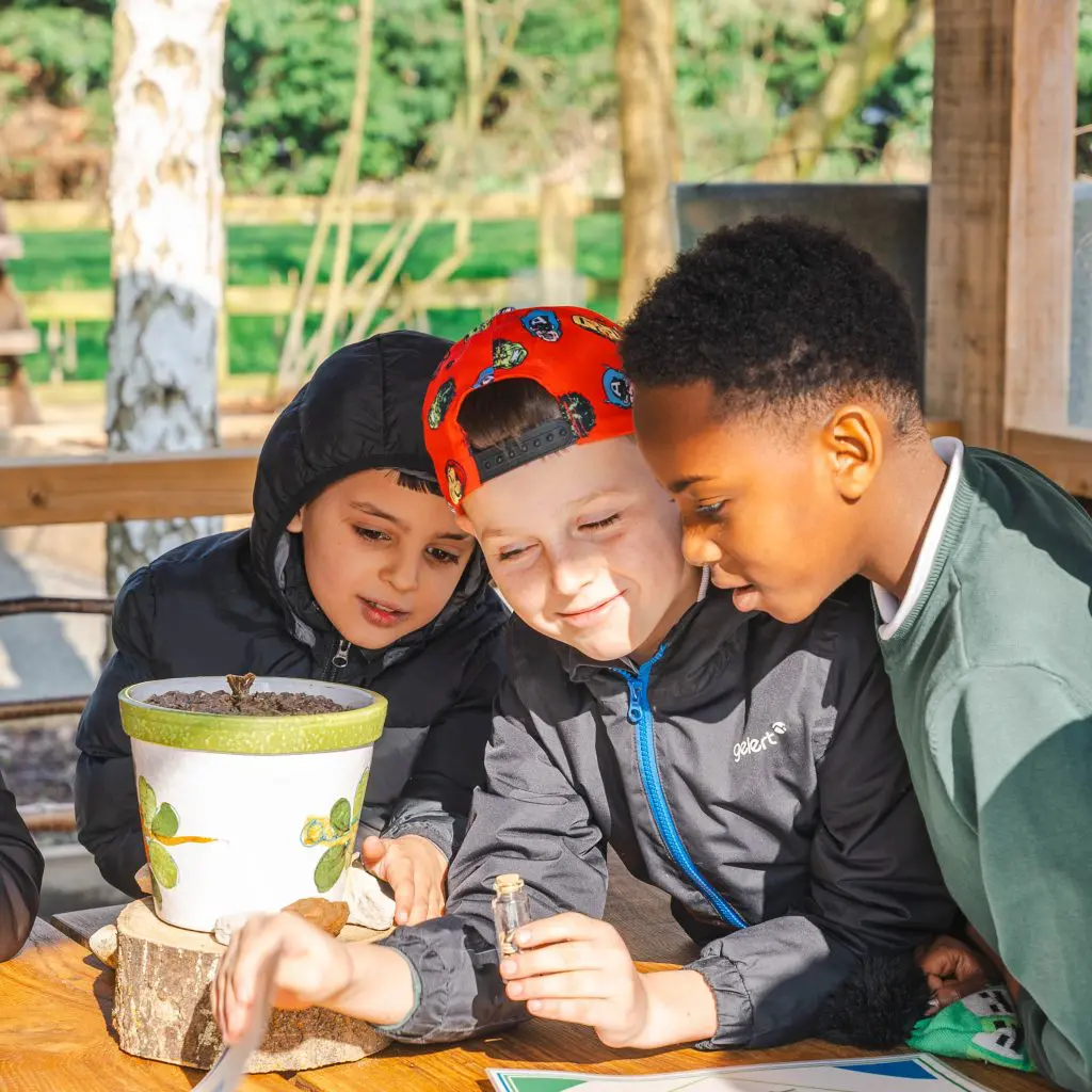 school pupils studying plants at the outdoor environmental study centre ferry meadows