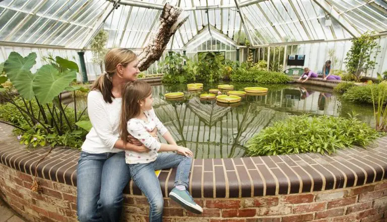 mother and child inside a glass room with tropical water flowers in a large pond area