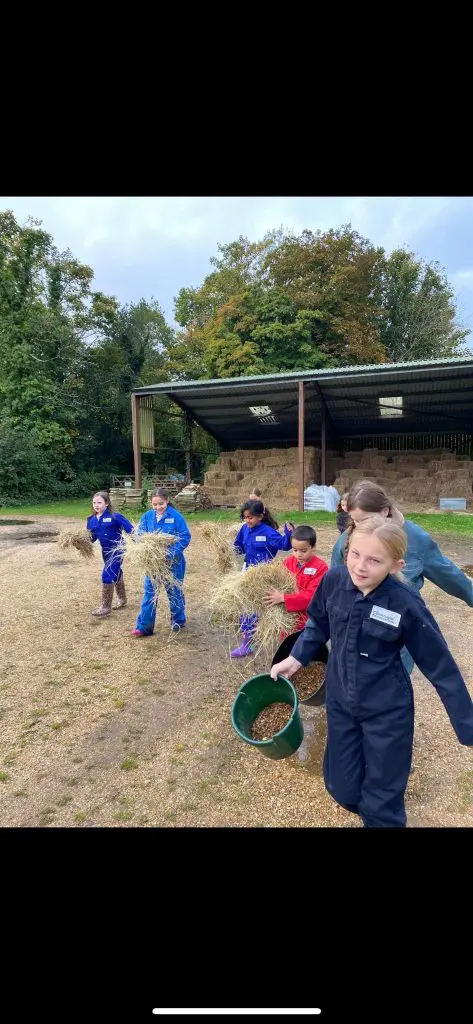 group of primary school trip students with hay in buckets feeding animals