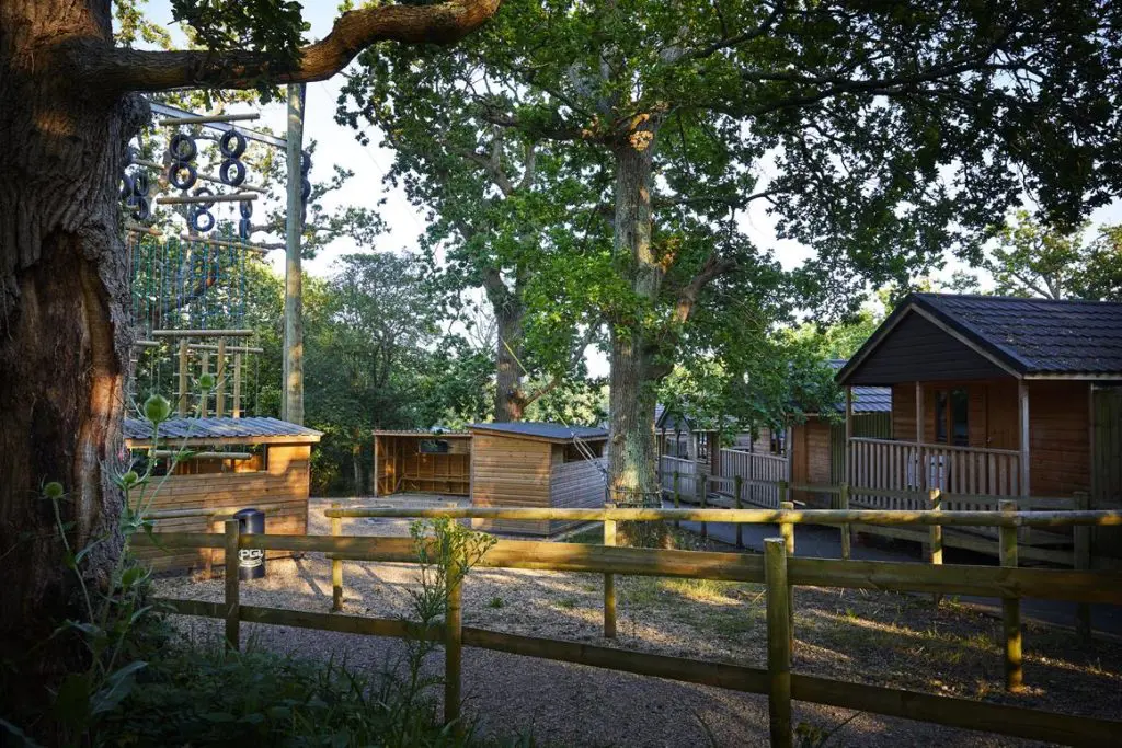 outdoor activity assault course located on woodland