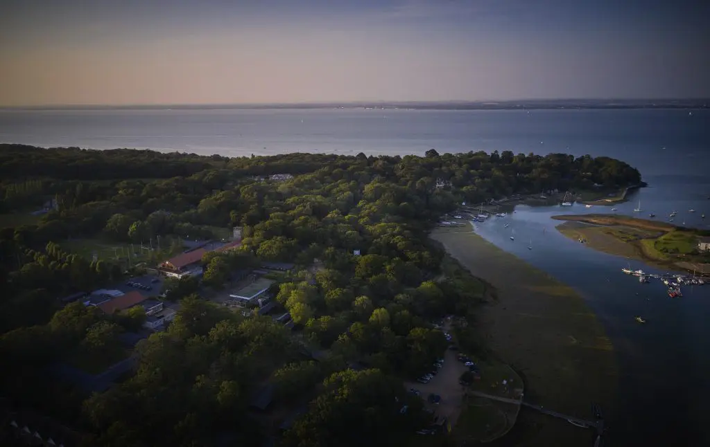 wooded coastal area with inlet bay