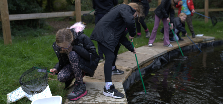 school pupils doing pond dipping activities