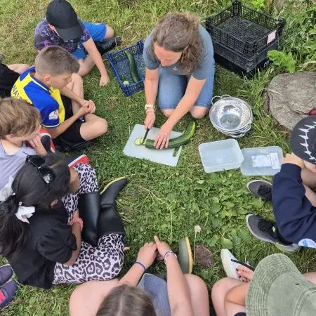 school group in field with teacher cutting vegetables