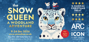 the snow queen theatre show at ARC in Stockton