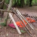 wooden den in forest