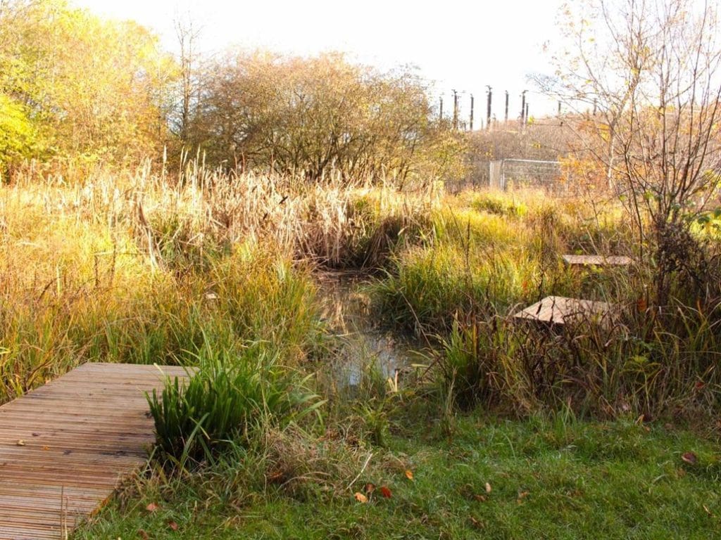 wildlife area