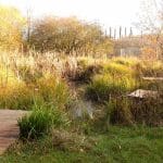 wildlife area