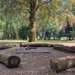 camp fire with logs around a fire pit in a woodland setting