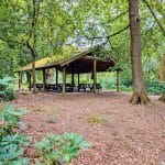 forest with a wooden canopy area with tables and chairs for school trip groups