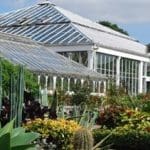 picture of Birmingham Botanical Gardens and Glasshouses