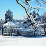 picture of Birmingham Botanical Gardens outside in the winter with snow
