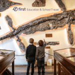 pupils looking at a museum dinosaur artifacts