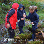 primary school pupils in a wood having fun