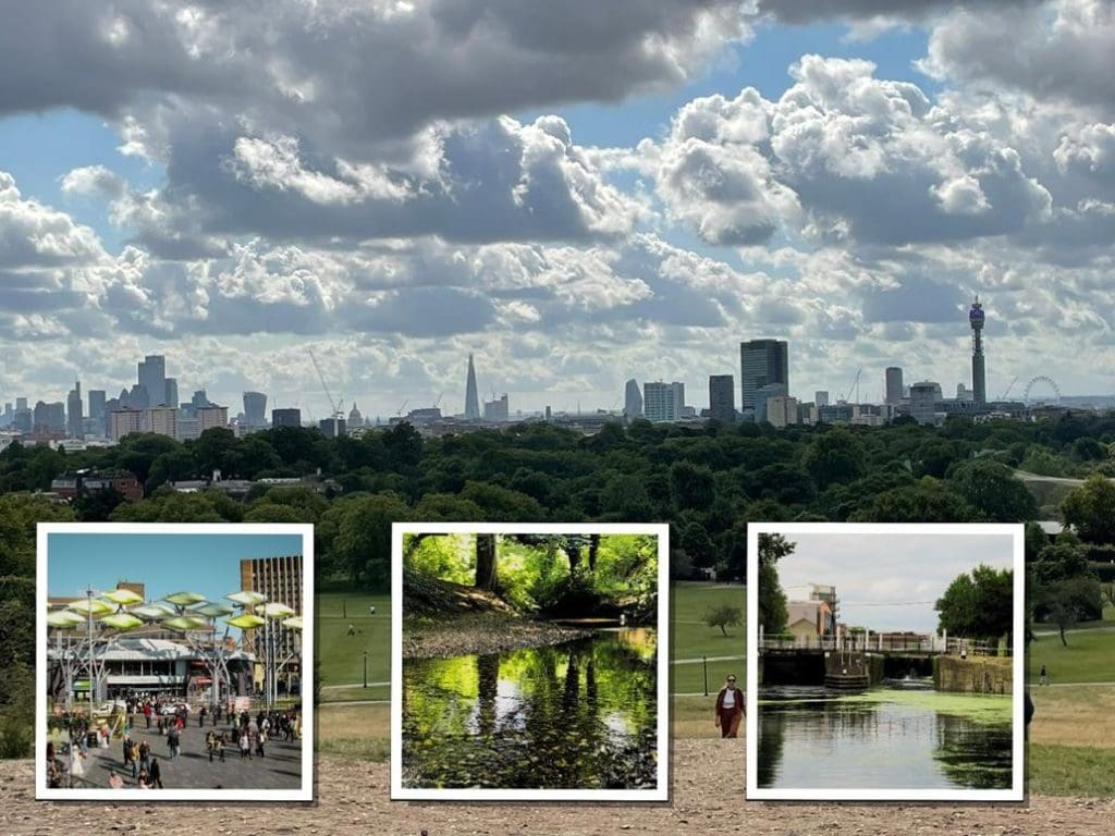 Field Studies Council London Sites 4 the London skyline from a park