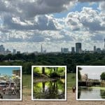 the London skyline from a park