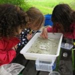 primary school children doing pond dipping