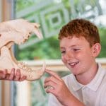 pupil in a study class holding and viewing dinosaur bones
