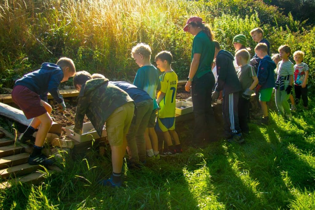 primary school students outside in nature doing field studies