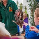 Noah’s Ark teacher holding a snake in a school trip workshop with a primary school group