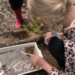primary school child doing biology work outside with an investigation tray with water and gravel in it