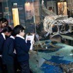 pupils looking at dinosaur bones in an exhibition room