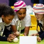 school pupils looking at exhibitions in a museum trophy room