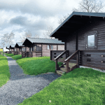 collection of outdoor log cabins