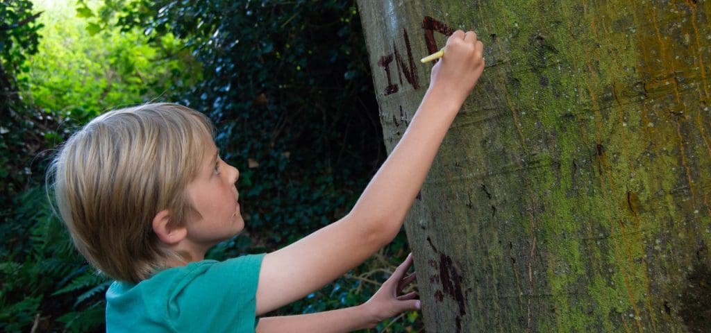 school pupil painting a tree set within a forested area