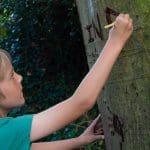 school pupil painting a tree set within a forested area