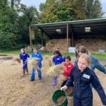 group of primary school trip students with hay in buckets feeding animals