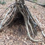 image of a den in a wood made of thick heavy branches and logs