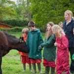 school group and teacher in a farmers field looking at a cow