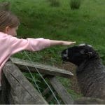 primary school child on a school trip animal experience