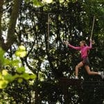 pupil high up in the tress on a high ropes adventure