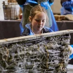 student weaving wool at Mary Arden's Farm